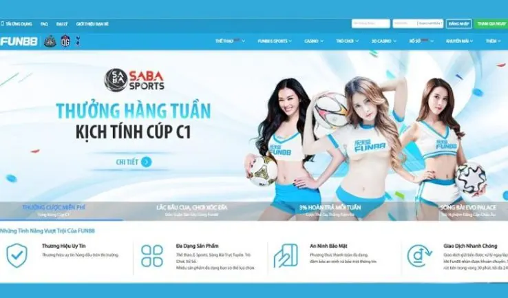 Đối chiếu thông tin thay vì suy đoán - C54